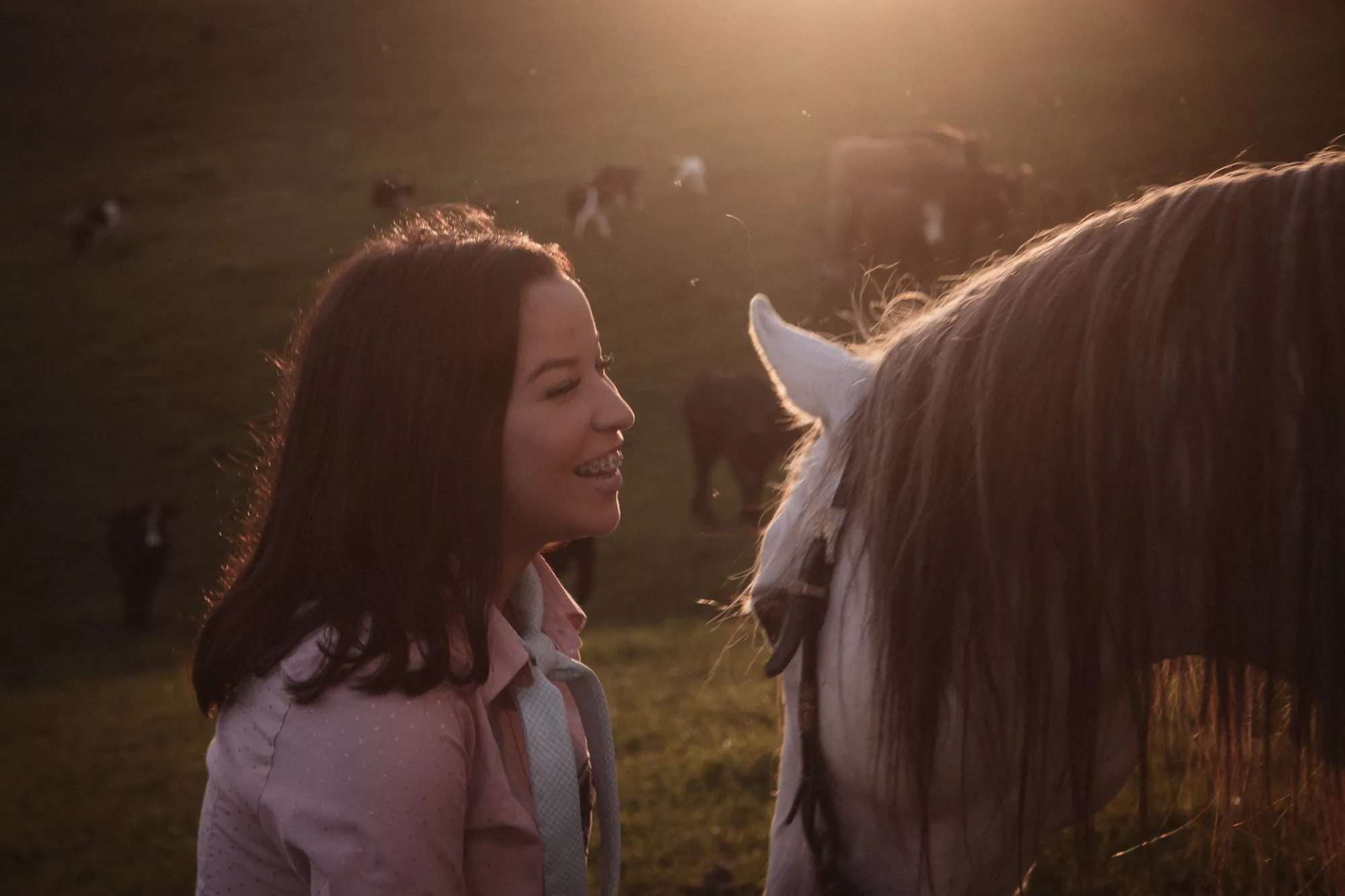 Mulher ao lado de um cavalo branco na luz dourada